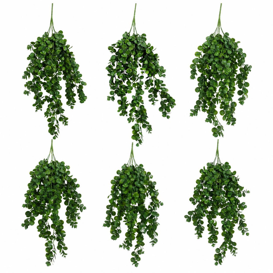 Hanging Plants X6 75cm Plant