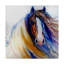 Duniya «Gypsy Vanner Rouge», reproduction de peinture acrylique sur toile tendue-29765900