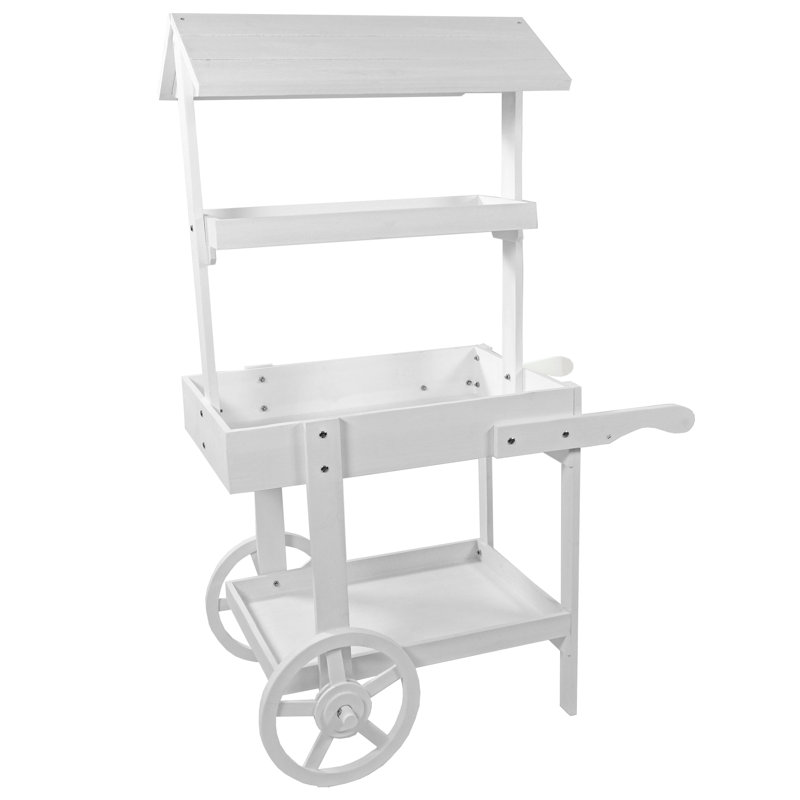 Quenby Wooden Flower Cart Plant Stand - 33.75" x 21.75" x 49.25" - White, White