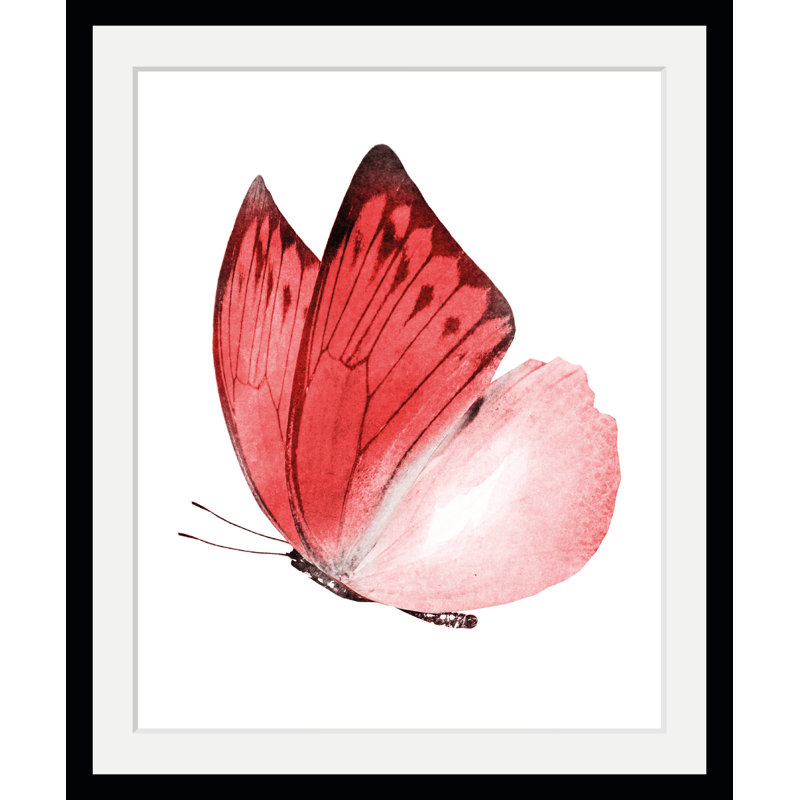 Butterfly - Single Picture Frame Print