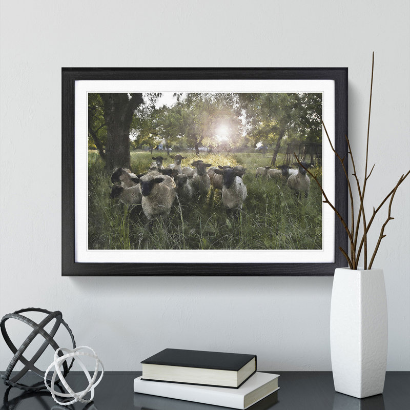 Flock of Sheep Vol.3 - Framed Print, 48cm H x 65cm W x 2cm D, Black Framed