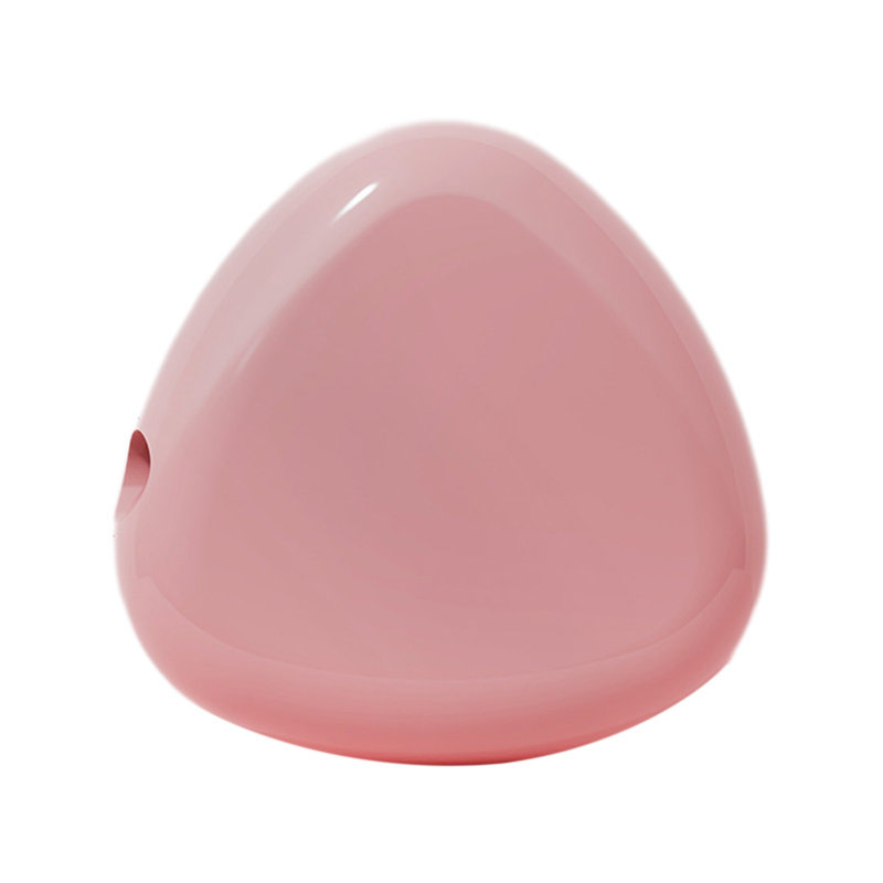 Boîte de désinfection en plastique Stérilisateur à brosse à dents de voyage à domicile, Pink