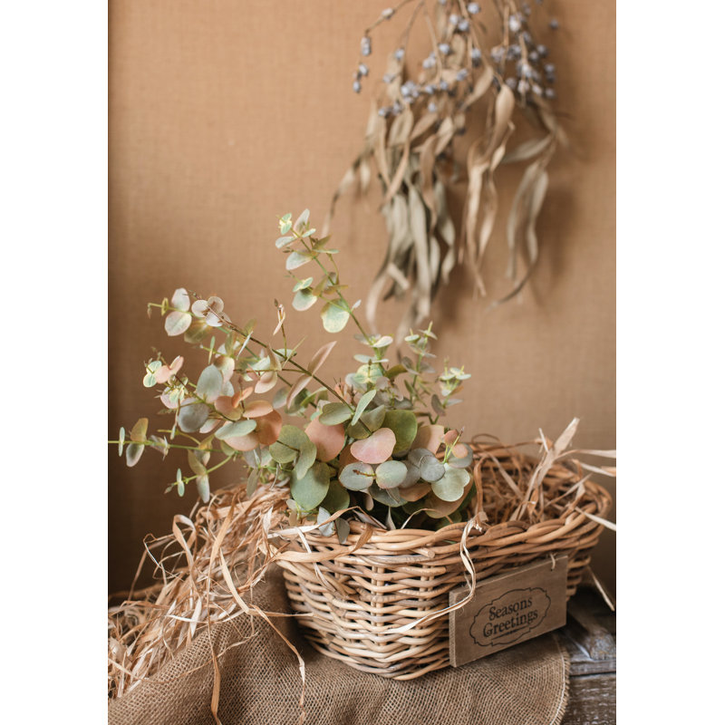 Tiges de eucalyptus d’automne, douilles et pulvérisateurs, Vert jaune, Une tige