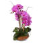 Silk Orchids Arrangement in Bowl