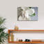 «Magnolia» par PhotoINC Studio-1628571292