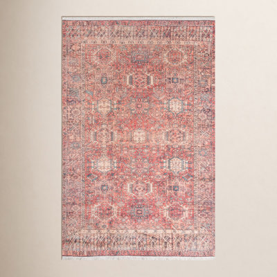 Conroy Oriental Indoor Rug