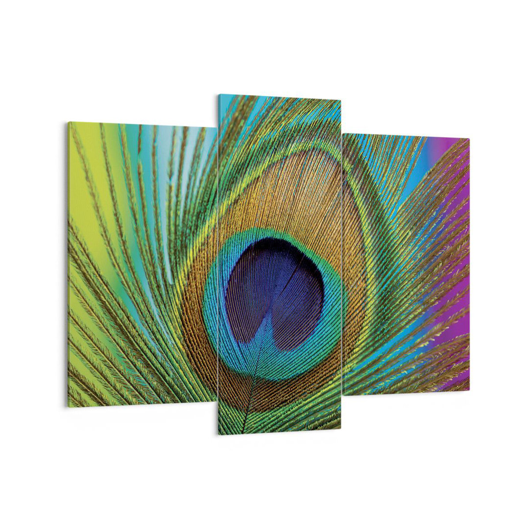 3-tlg. Leinwandbilder-Set Peacocks Feather Rainbow