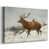 Toile naturelle avec cadre flottant
