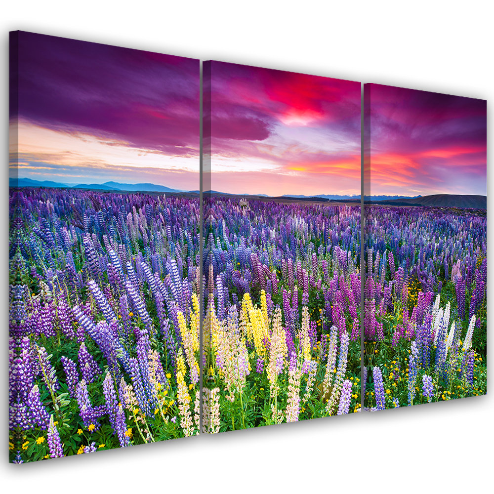 Leinwandbild Flower Meadow Lavender Landscape