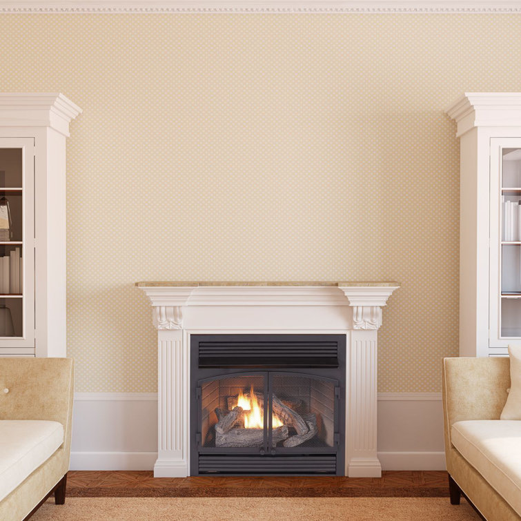 Duluth Forge 29.1'' W Ventless Fireplace Insert | Wayfair