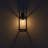 Outdoor Wall Sconce 1 Light Rectangular Metal Frame and Clear Glass Shade