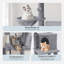 Tour pour chat Gardol