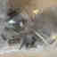 Customer photo 3 of 5