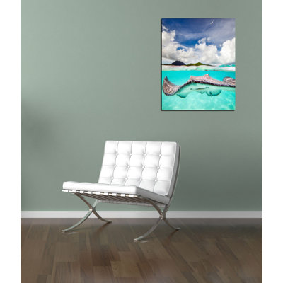 'Stingray' by Jesse Estes, Canvas Wall Art