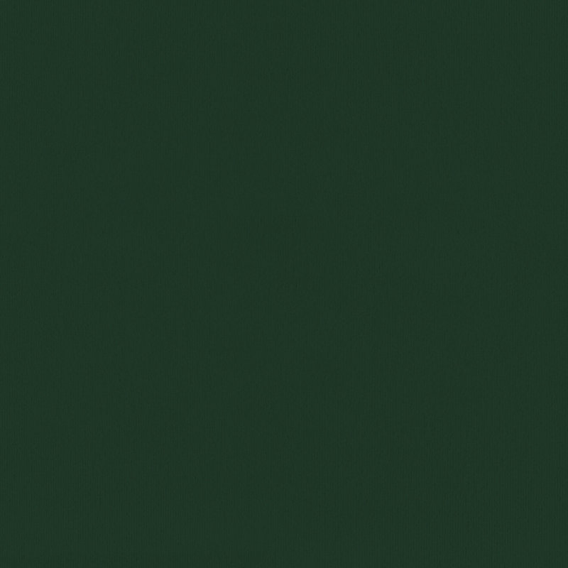 Aena Bed, Velvet Upholstery, Tufted Headboard, Solid Wood, Twin, Green
