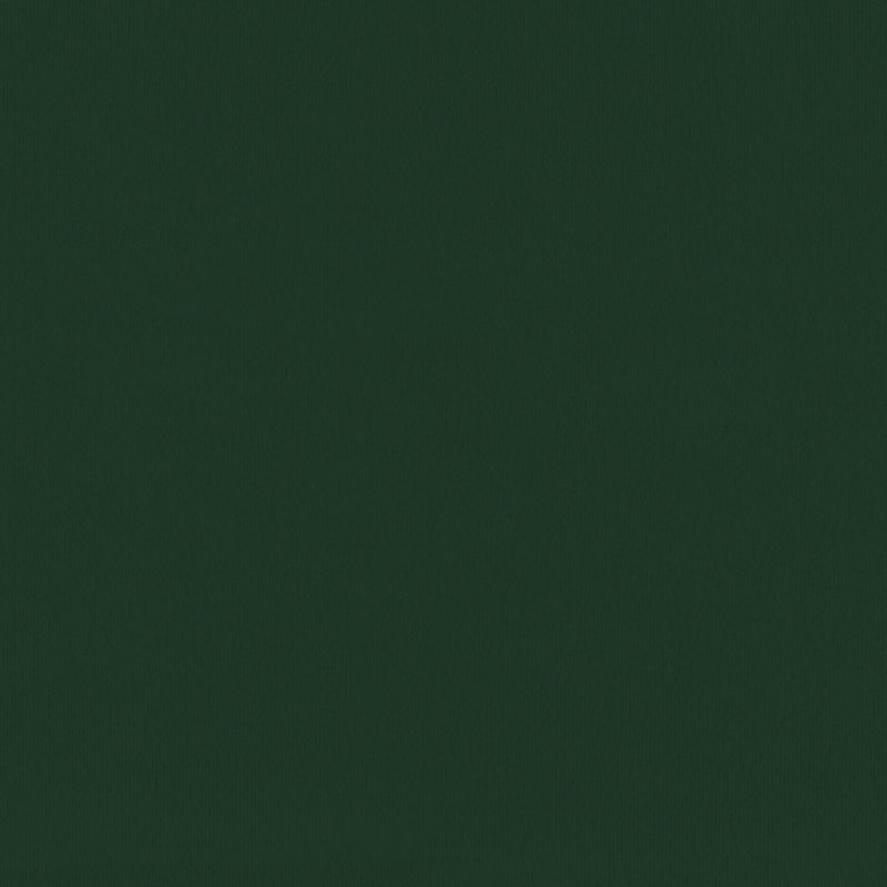 Lit Aena, revêtement en velours, tête de lit capitonnée, bois massif, Simple, Vert