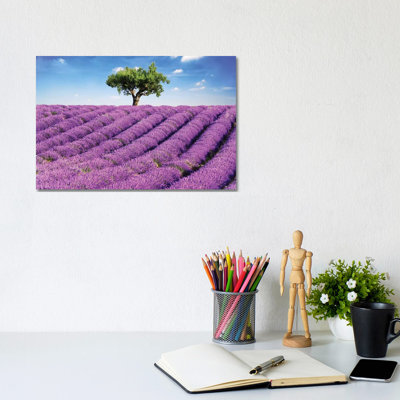 Lavender Field And Tree, Provence by Matteo Colombo - Wrapped Canvas Print