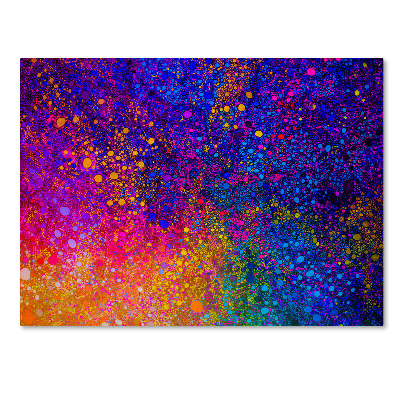 Impression sur toile tendue Coeta, H 14 po x l 19 po