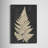 " Linen Fern I "-221848572
