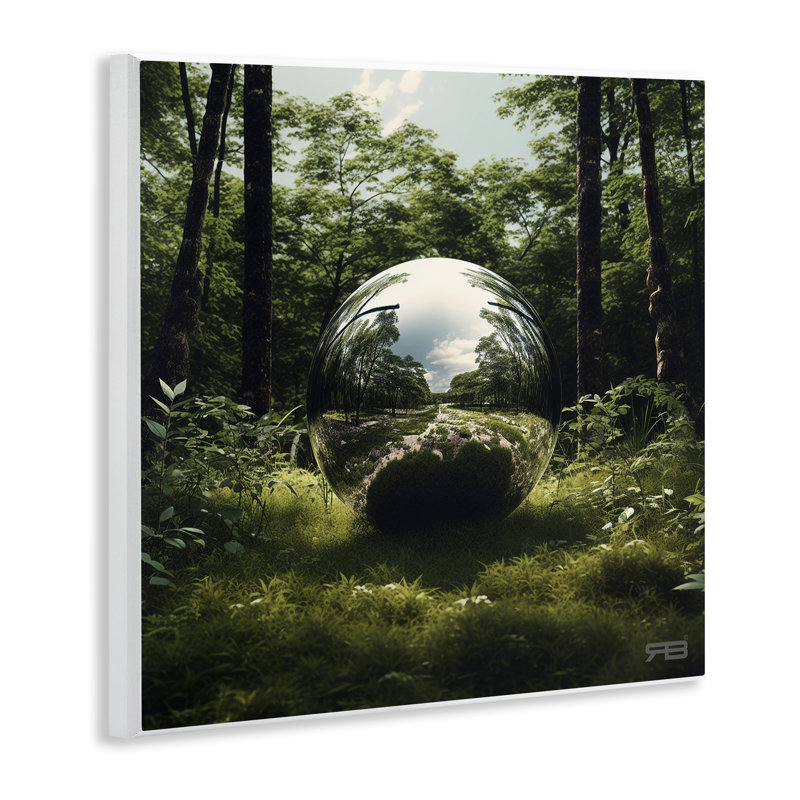 Art mural sur boule réfléchissante dans la nature par Roozbeh Bahramali