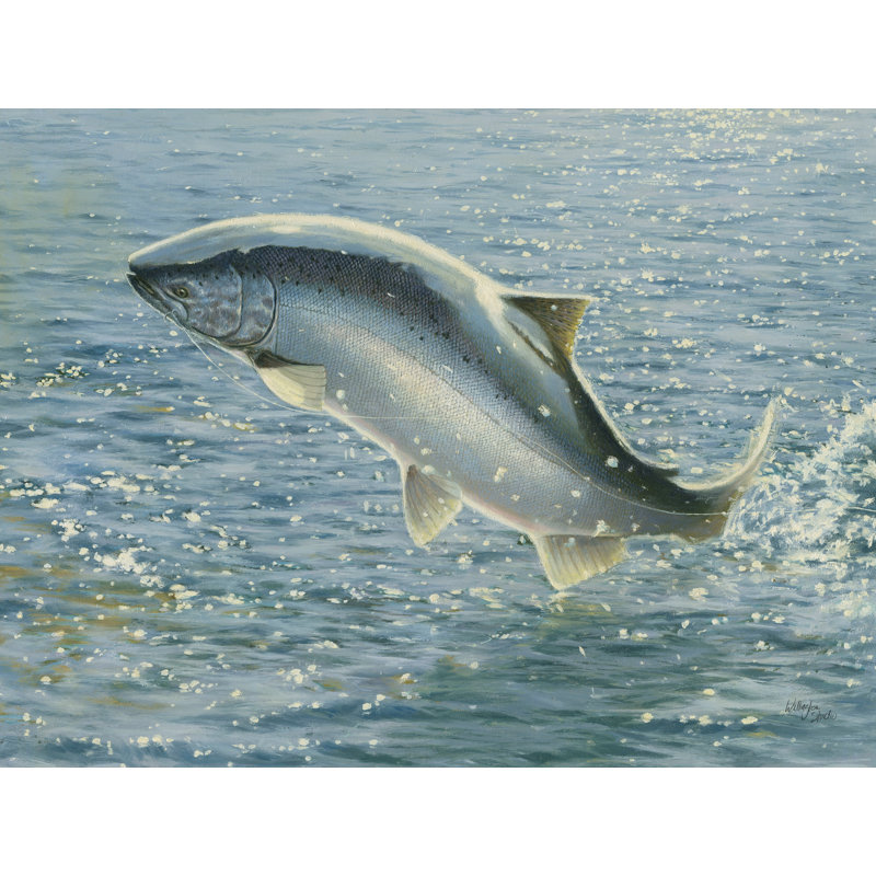 «Saumon sur toile» par Wellington Studio, reproduction, H 12 po x l 16 po