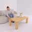 Patricio Single Coffee Table-766718215-766718211