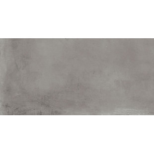 Caementum Albus 24"x48"