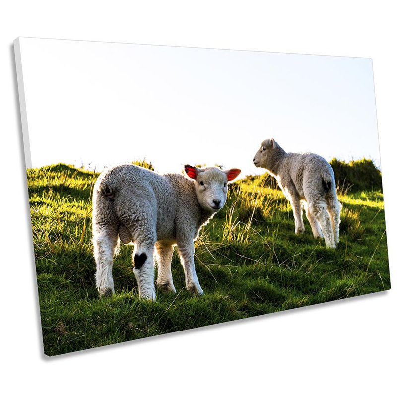 Sheep Lambs Sunset - Wrapped Canvas Print, 81.3cm H x 121.9cm W x 4cm D