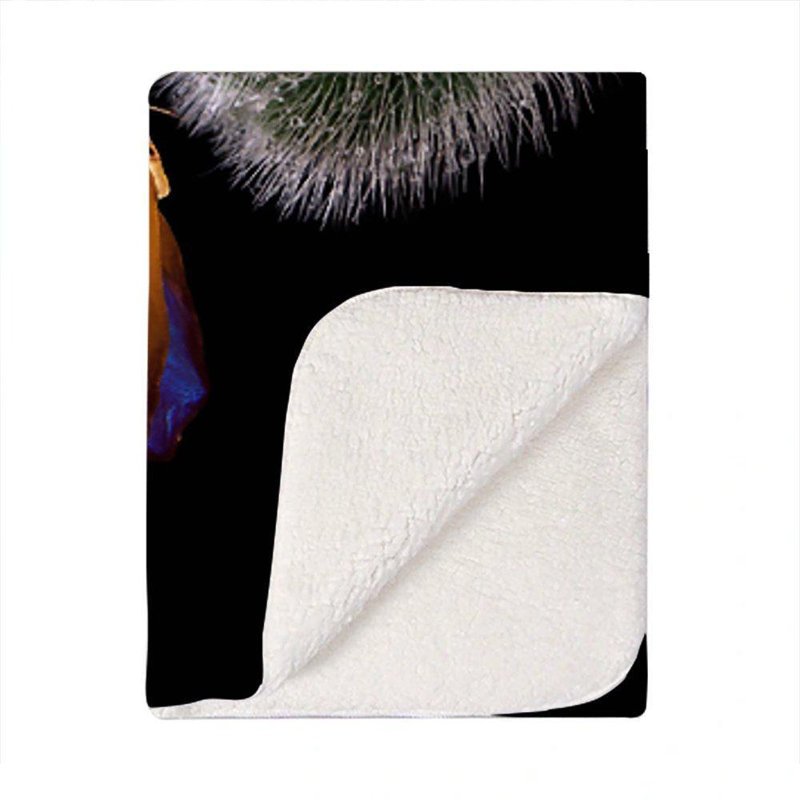 Deandra Plain Weave / Muslin Throw Blanket