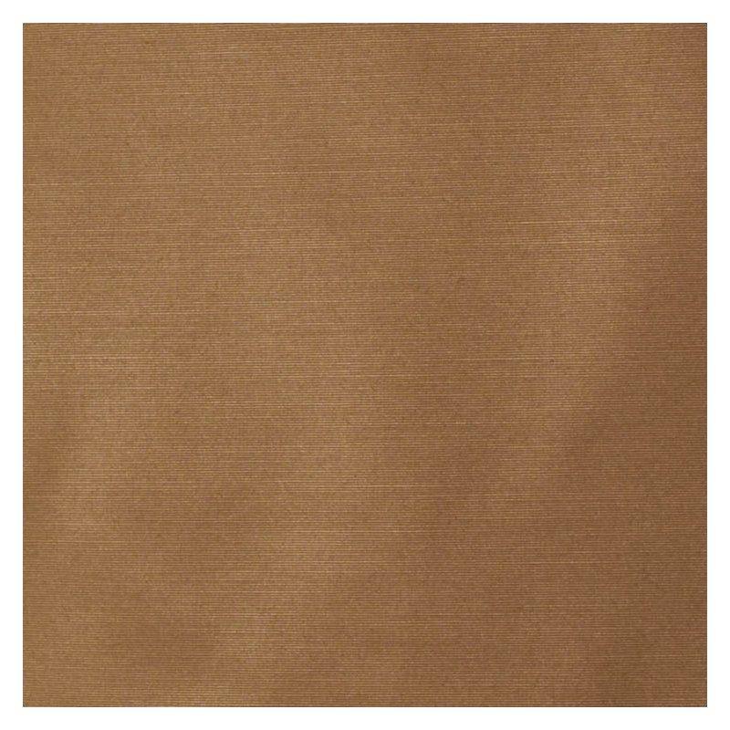 Tissu Talent, Champignon