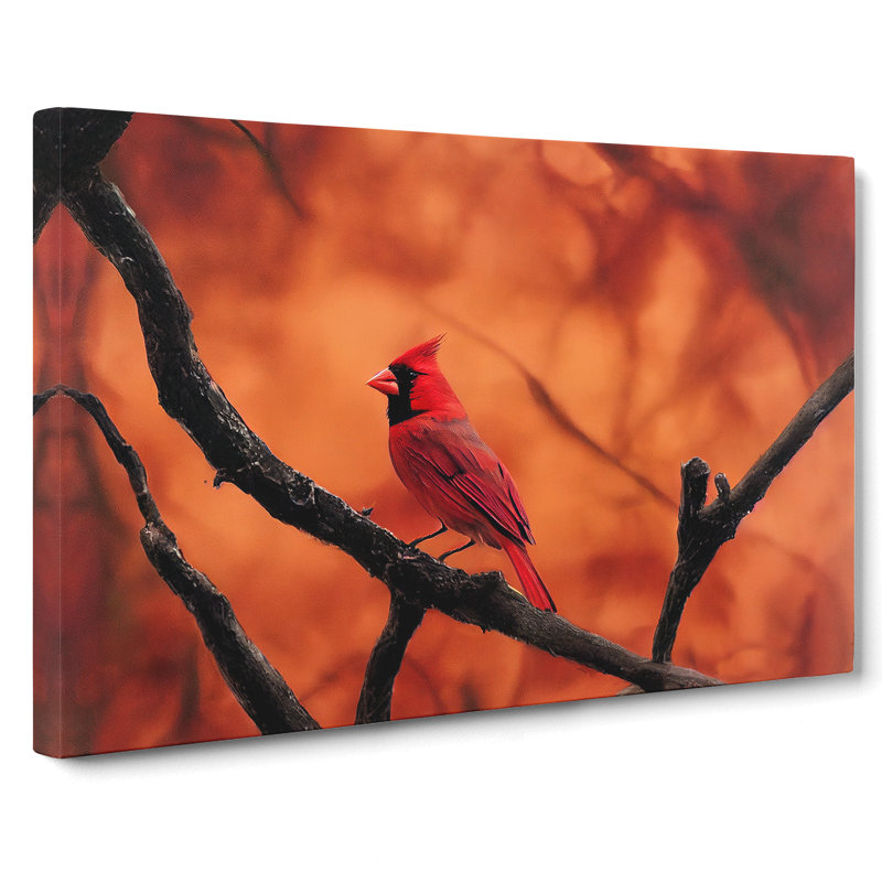 Cardinal Bird Vol.19 - Wrapped Canvas, 40cm H x 60cm W x 3cm D