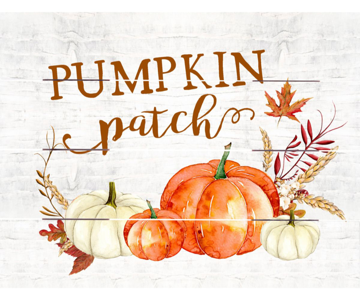 Gracie Oaks Pumpkin Patch Wall Décor | Wayfair