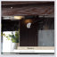 Vitrine Curio, vitrine antique avec portes en verre-712261546