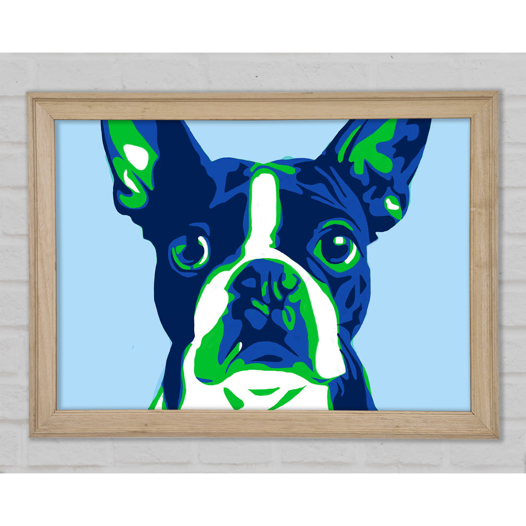 Die Französische Bulldogge Pop Art - Druck