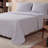 Champion Printed Microfiber Sheet Set-128580183-128580186