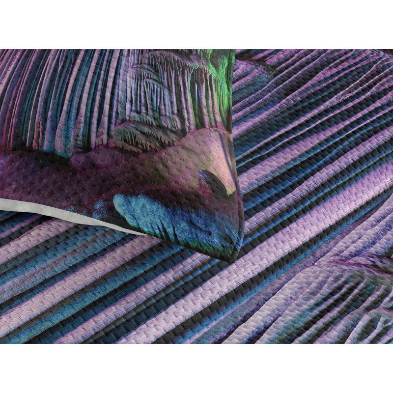 Modern & Contemporary Polyester Coverlet