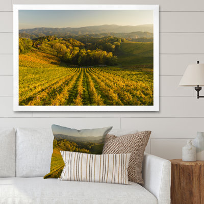 Vineyard Sunset Landscape - Décoration murale traditionnelle sur toile