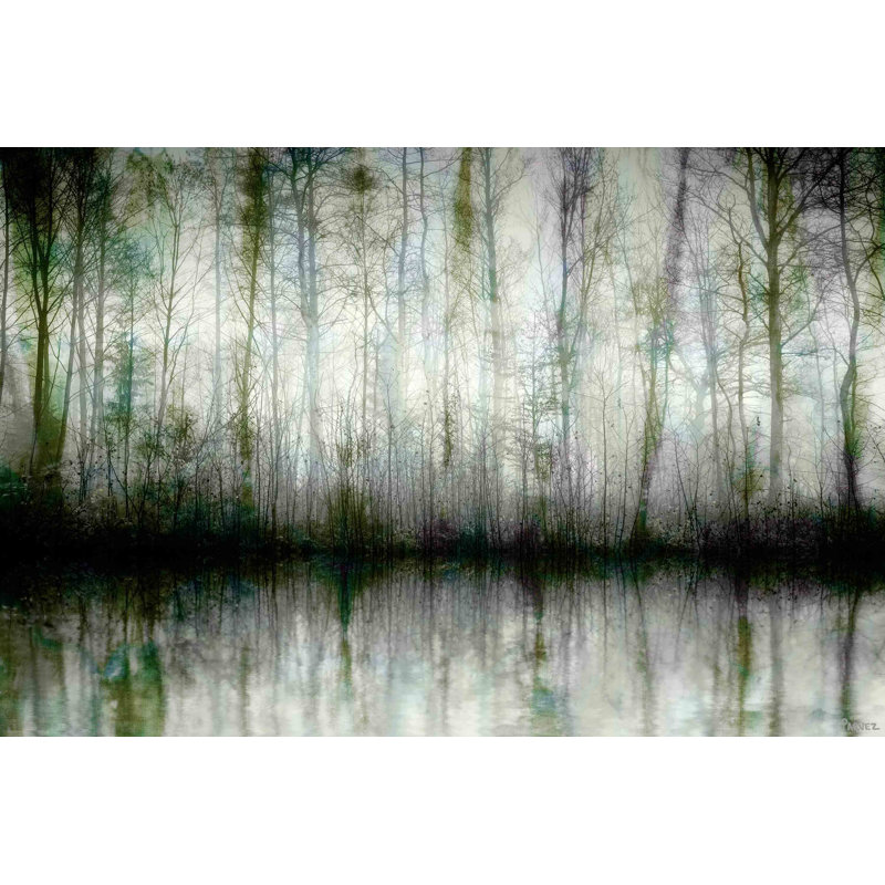 "Wispy Trees Reflect" par Parvez Taj, impression sur toile tendue, H 8 po x l 12 po