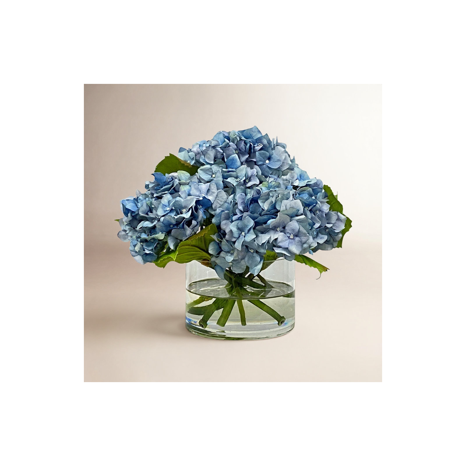 HYDRANGEA IN CYLINDER, Light Blue