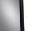 Emelina Metal Rectangle Mirror