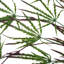 100cm Faux Foliage Plant