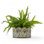 Fern Handmade Ceramic Planter