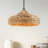 Hunter Cambria 1 Light Large Pendant Ceiling Light Fixture