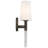 Eloura 1-Light Iron Gate Wall Sconce