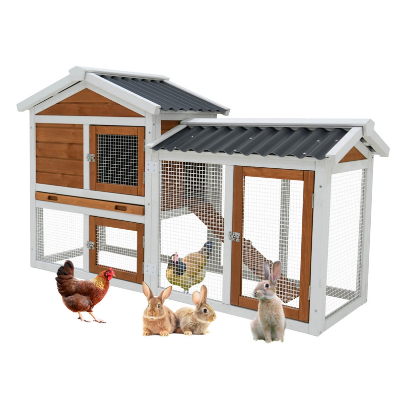 Poulailler 58 po en bois avec toit imperméable, escalier et plateau de nettoyage 58 po
