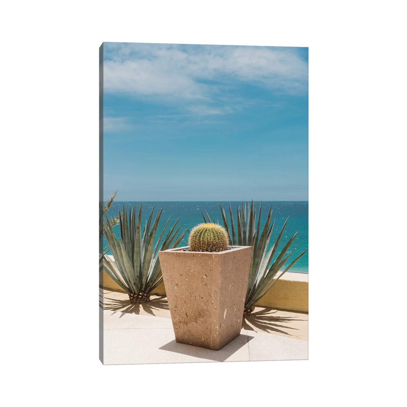 Cabo Cactus by Bethany Young - Print on Canvas, Wrapped Canvas, 30.48cm H x 20.32cm W x 1.91cm D
