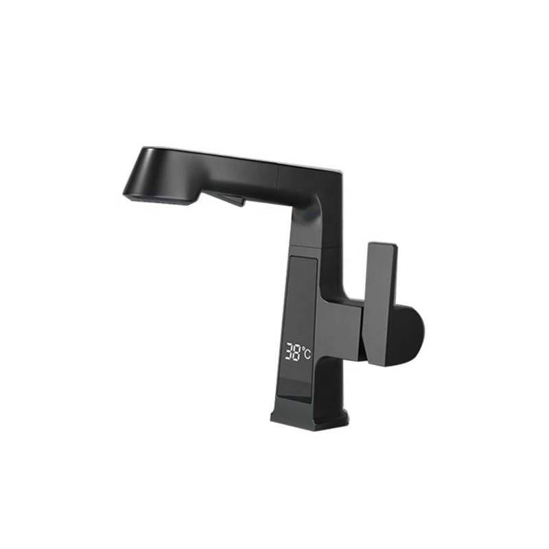Robinet de salle de bain extractible à un trou, Noir