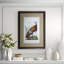 Audubon Wild Turkey Print by Audubon