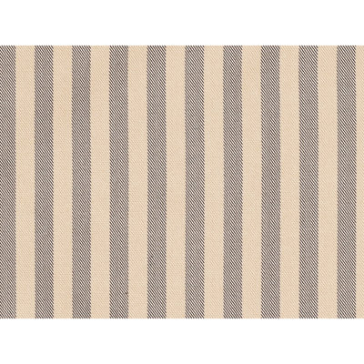 Directire Silk Fabric