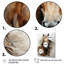 Impression sur toile brun, cheval et beige Spirit of Equus-442132199-442132195